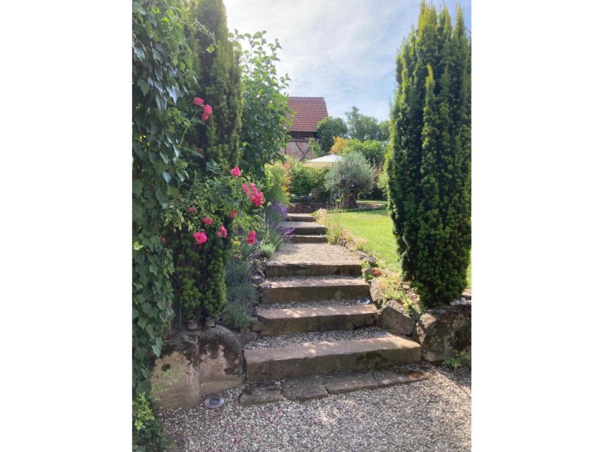Kleiner Hof Rosenrot Apartment Endingen am Kaiserstuhl Ngoại thất bức ảnh