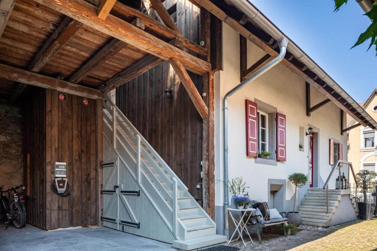 Kleiner Hof Rosenrot Apartment Endingen am Kaiserstuhl Ngoại thất bức ảnh